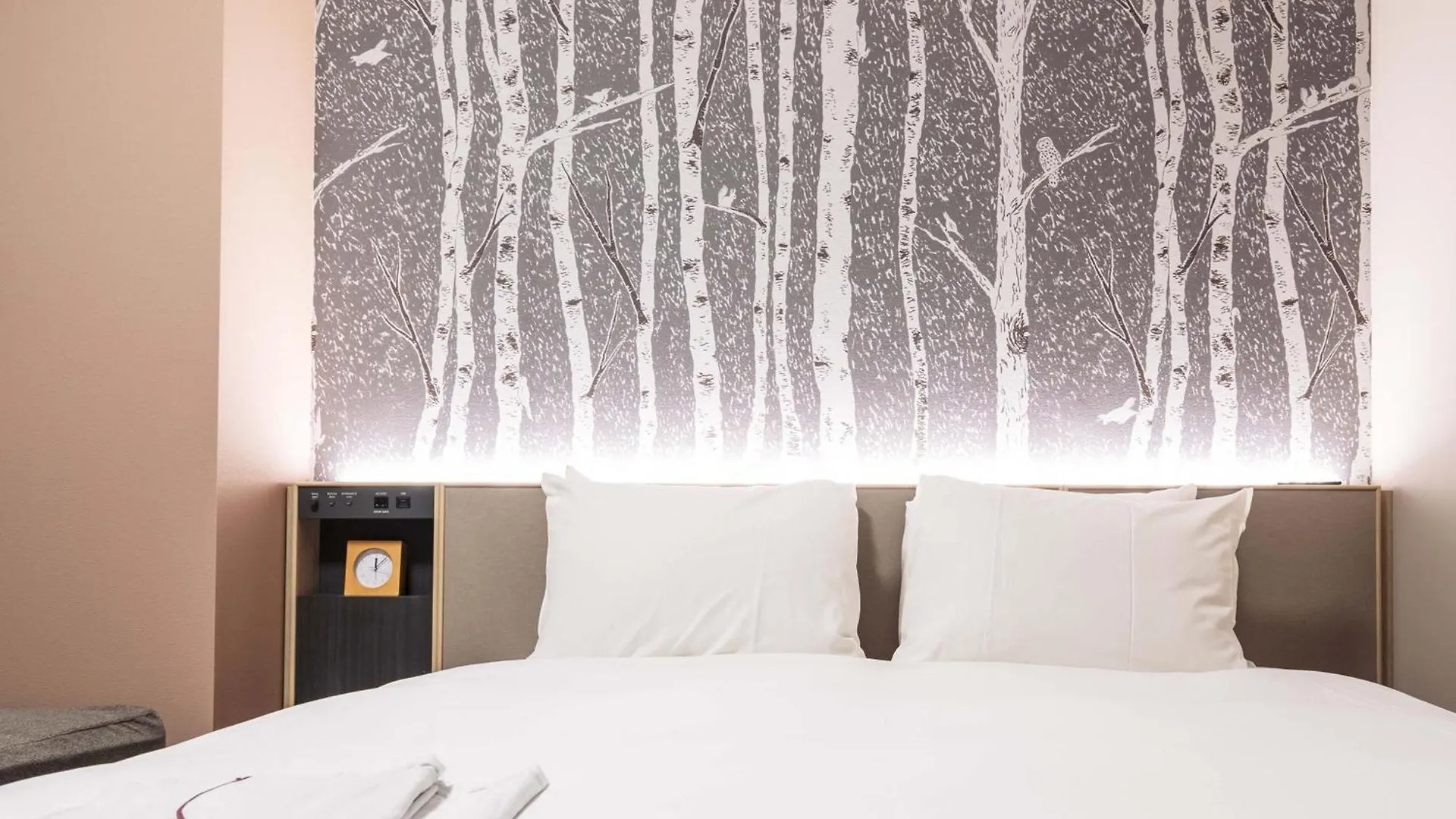 Richmond Hotel Obihiro Ekimae 3*,